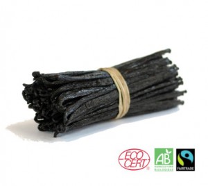 Pastai Bio Vanilie Tahitensis